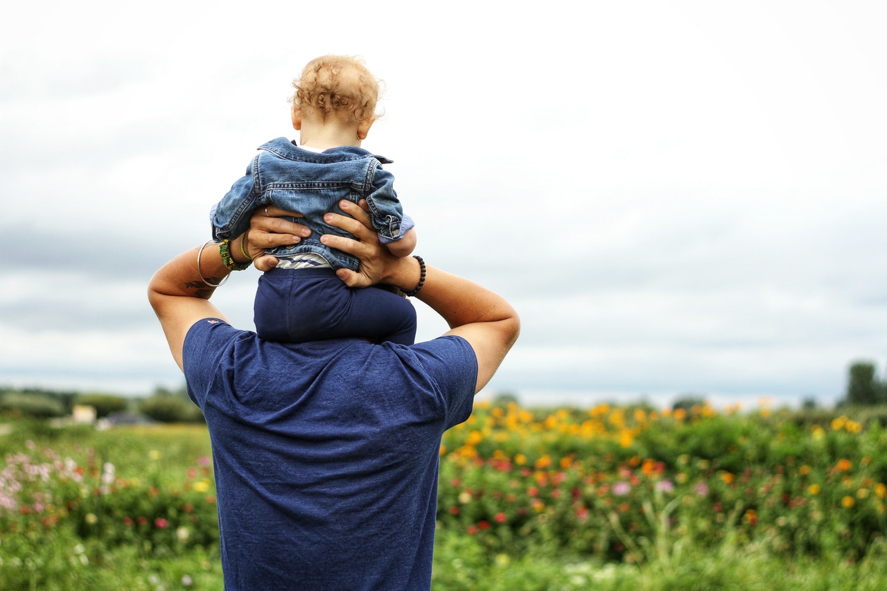 blastocyst culture procedure